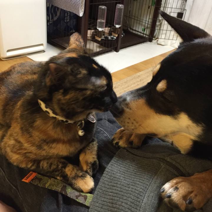 808eaeac eb4f 4264 921b 0e93d9002dd8 1517923852656