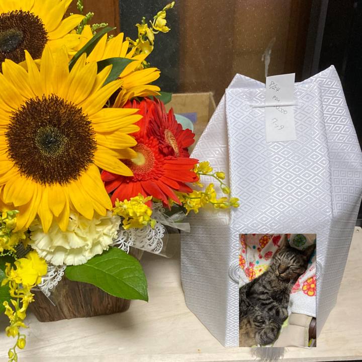 808ec574 6191 47ad a3c3 9d8581574631 1661485911324