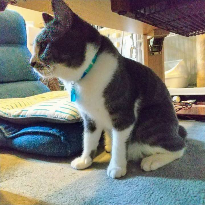 808ece5a 2b26 463d a159 ebfa1e76b9d0 1627509753593