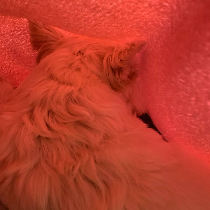 808ed4bf 485b 46d0 9d44 6b93d72b5184 1614662750265