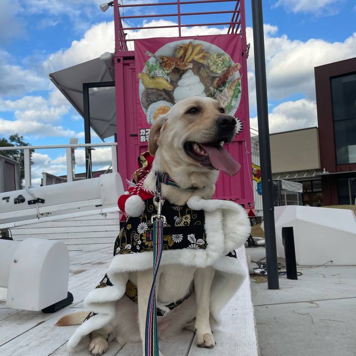 808f089c 0e93 409d 8acd a9549ec336e6 1669967547594