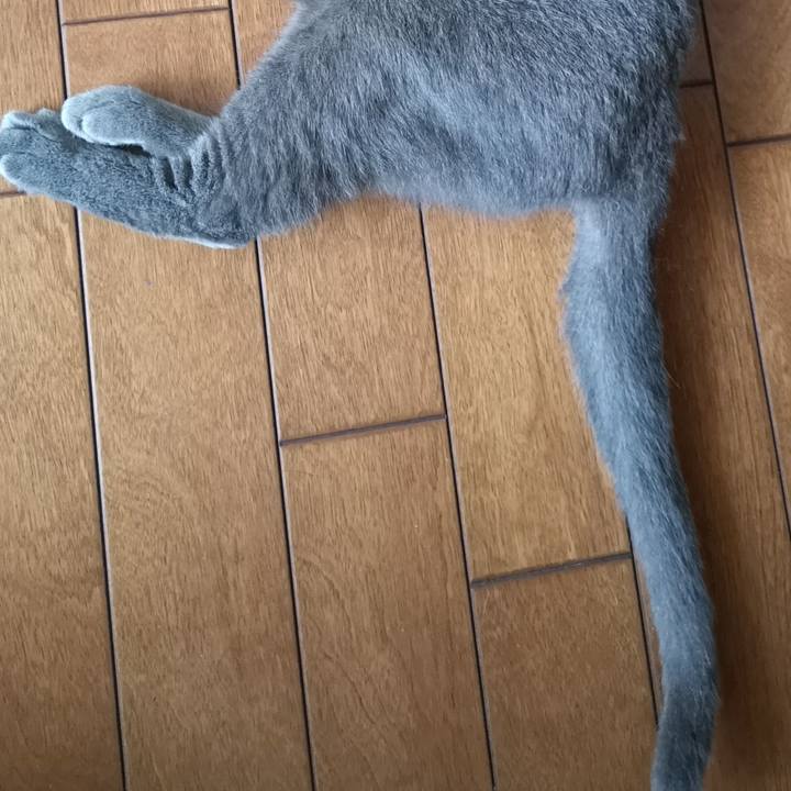 808f2538 5d67 4be1 9826 75c9f2dc64ff 1628892980247