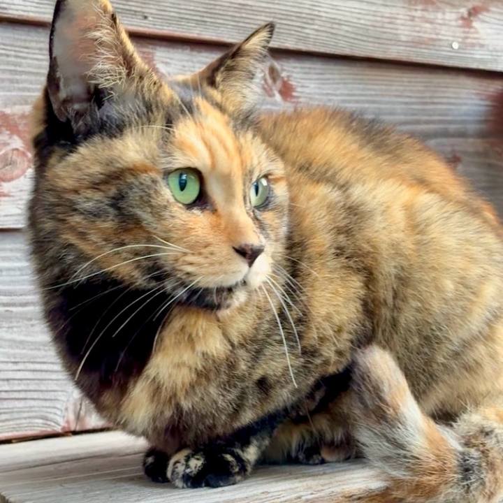 808f3b24 50cb 4703 82b9 e2f35b8f3233 1763864786923