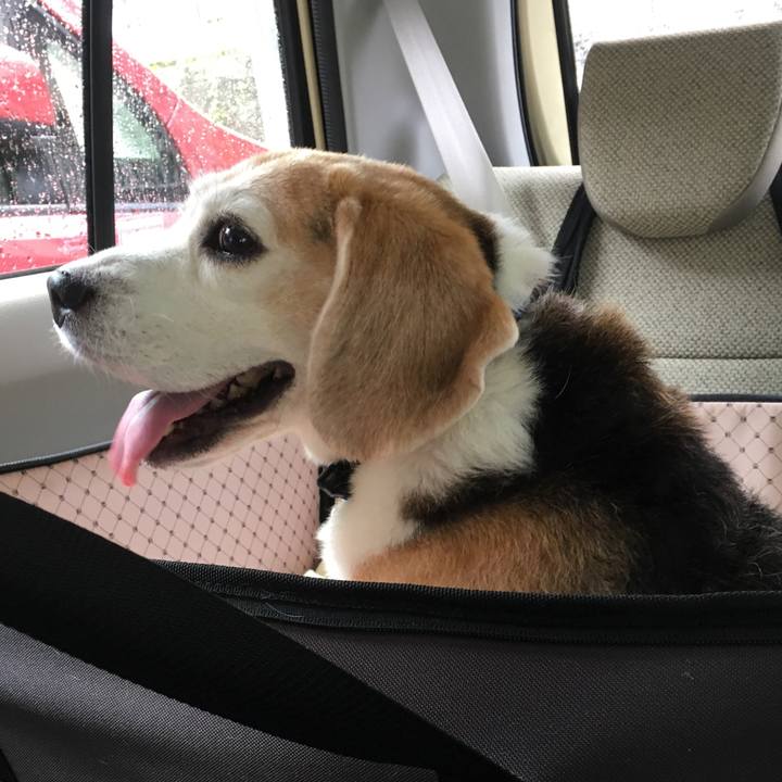 808f564b 4498 47f8 b543 4e1321558f79 1535243754368