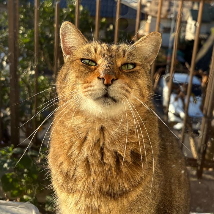 808f8193 05ae 404c 8ca5 d19b56df4198 1763685021546