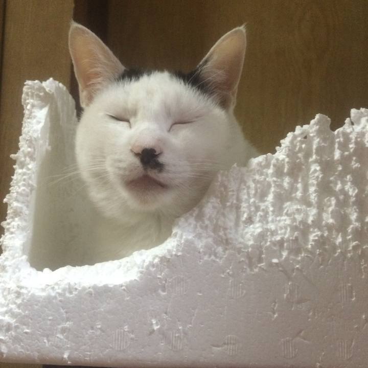 808fa1ca bf7d 4dfe a359 08fce9b7d3eb 1537976272285