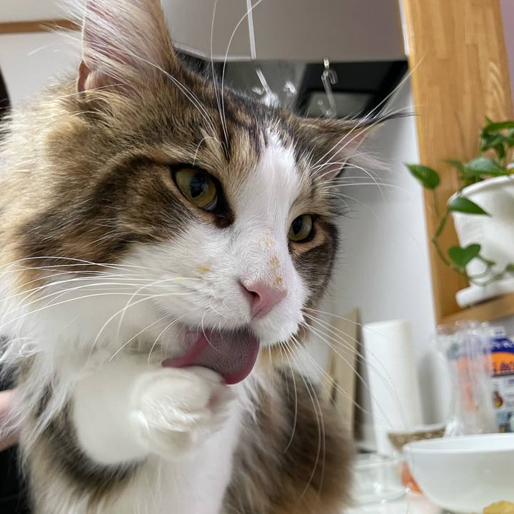 808faa02 f529 4a40 8ec6 ca466a6fdfbf 1649410226920