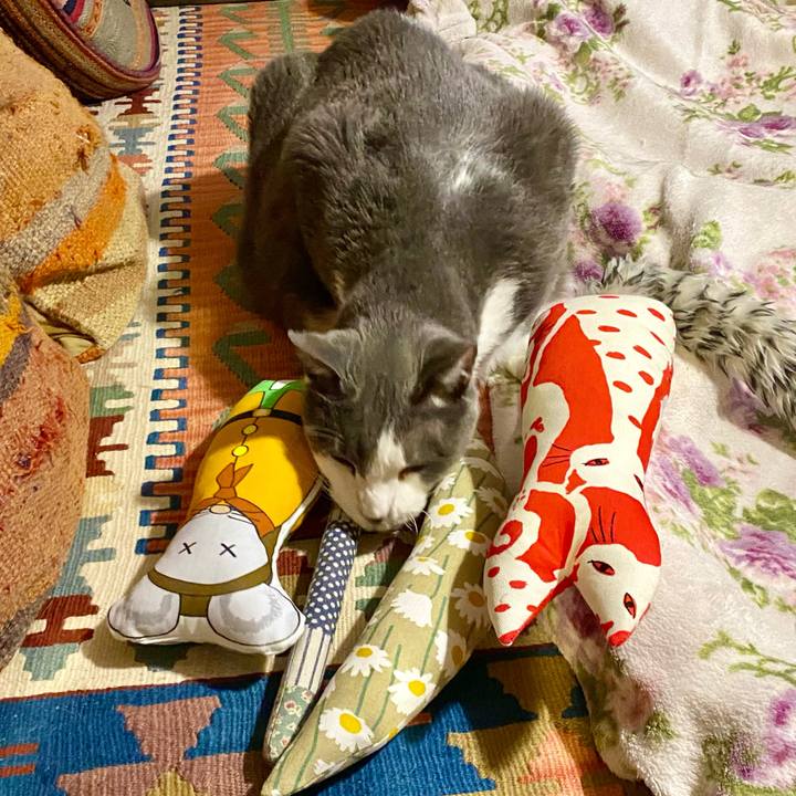 808fc1e4 37e6 4c2e 86e6 724fc7a6c7d1 1764500408499