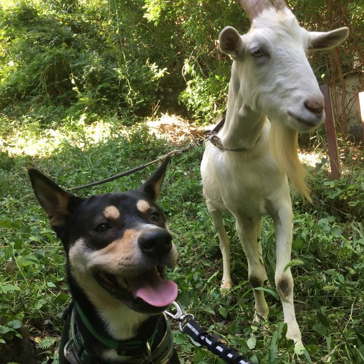 80901b70 c2e1 48f9 9e02 0d33d857b950 1538964843609