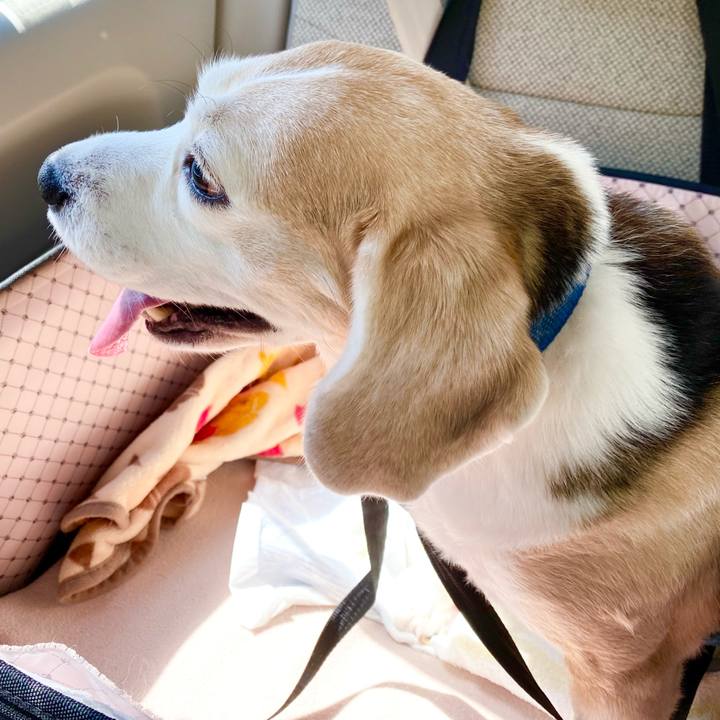 80903b4c 0033 4fd1 82a5 d1bd38c8f08d 1617683543878