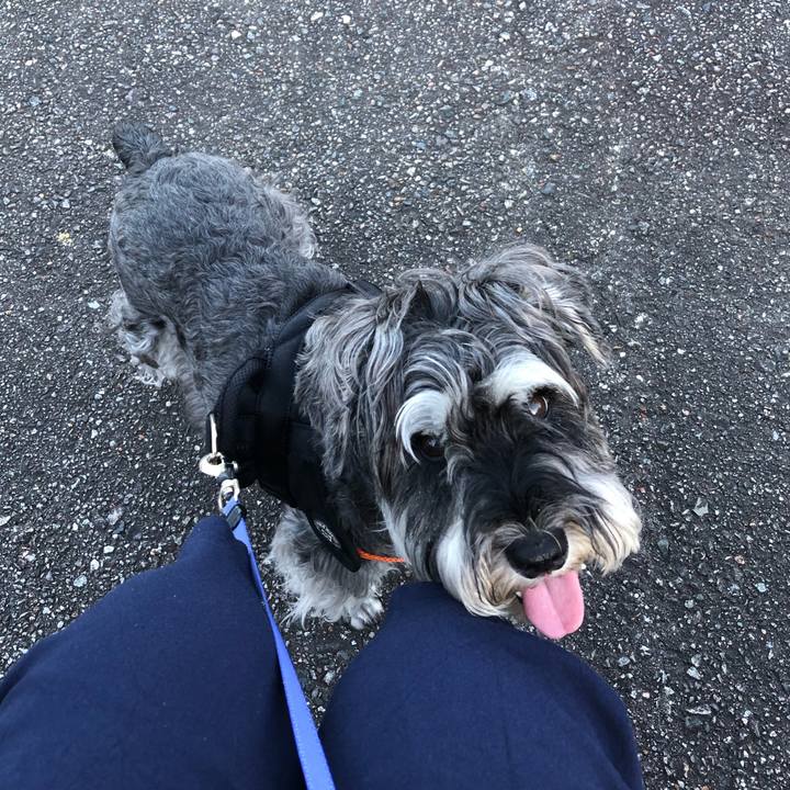 80907a59 fdbb 40cc 8f04 a36ba0c963ac 1691273673532