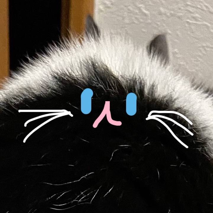 8090aed4 0281 4235 9a9e 0195ebf939b1 1585654173742