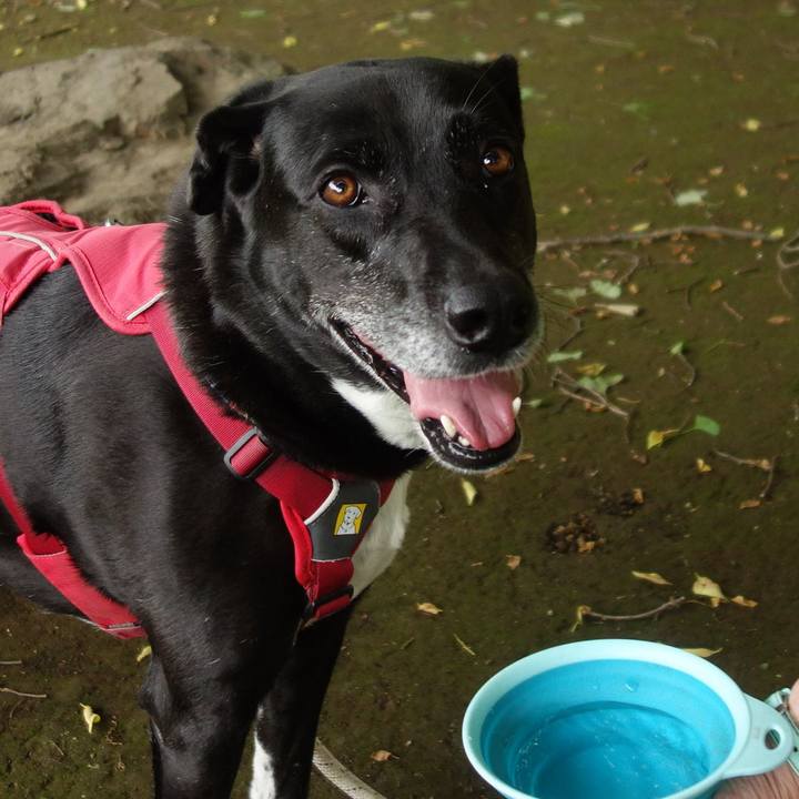 8090c050 f45f 489e b2cf 0b3547b1da21 1684026026969