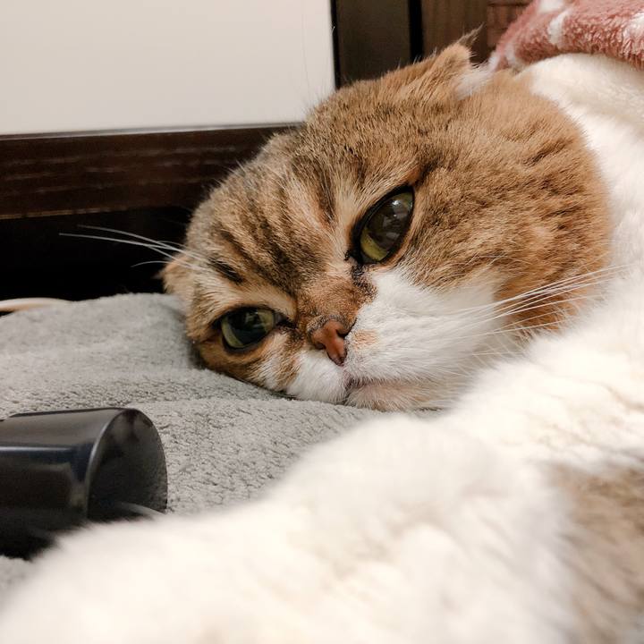 8090d018 376e 45ff b1f6 02b68cb294ac 1554909928785