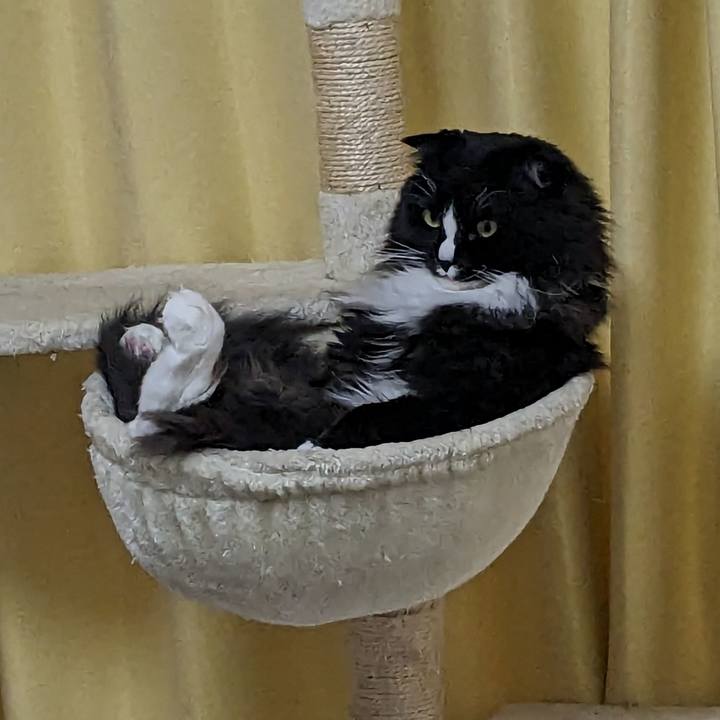 8090fbcf 8c0d 4fb8 9998 44fc612dbaa7 1705891937079