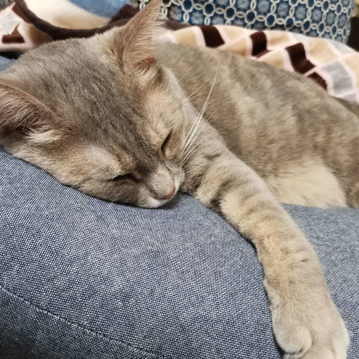 80914846 601e 4aaa 875d 61467b7d8597 1603808040669