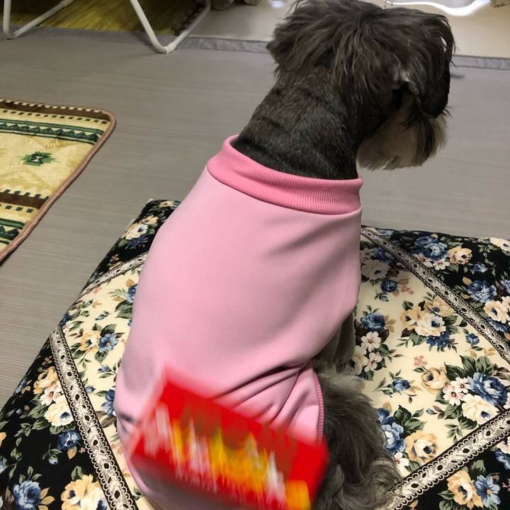 80918d30 982e 4b1a a304 01b7aca31163 1582443688117