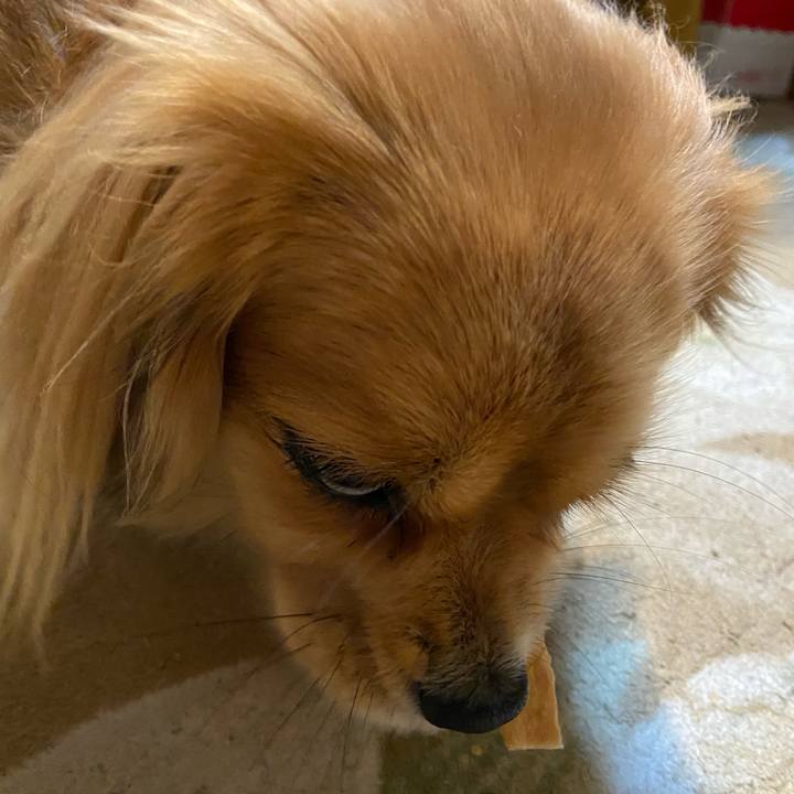 8091991b 8e4e 49b4 b1d0 edec3c1d8dc4 1579471914408