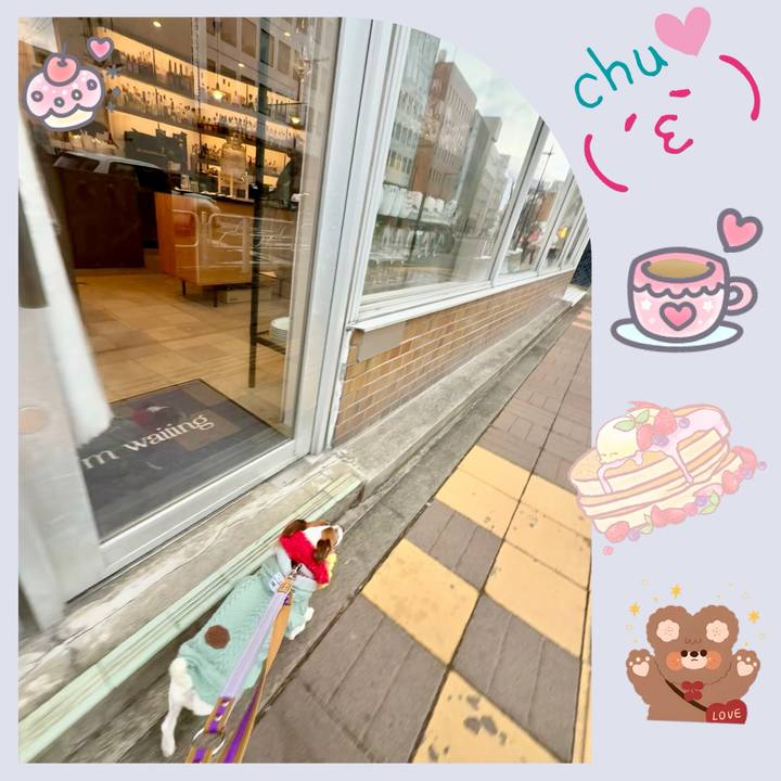 80919d4e fc57 4b0a b54b ca62673a75ca 1769262548264