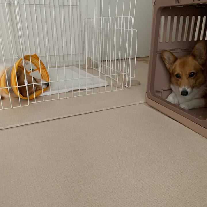 8091a4c0 be6b 4865 a9c7 aa2c0d20e120 1688295772992