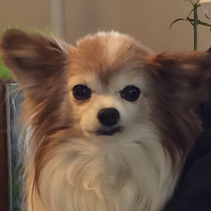 8091d1d1 e4e0 4e83 beb9 01a4af806a38 1545813868175