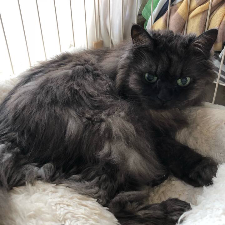 8091e8b0 8d06 4a11 968d f78250aaa780 1529801587239