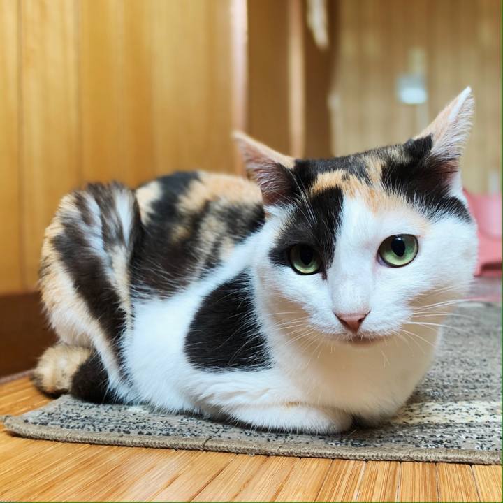 8092004c 18ef 4363 9470 8a5949de1022 1596941024928