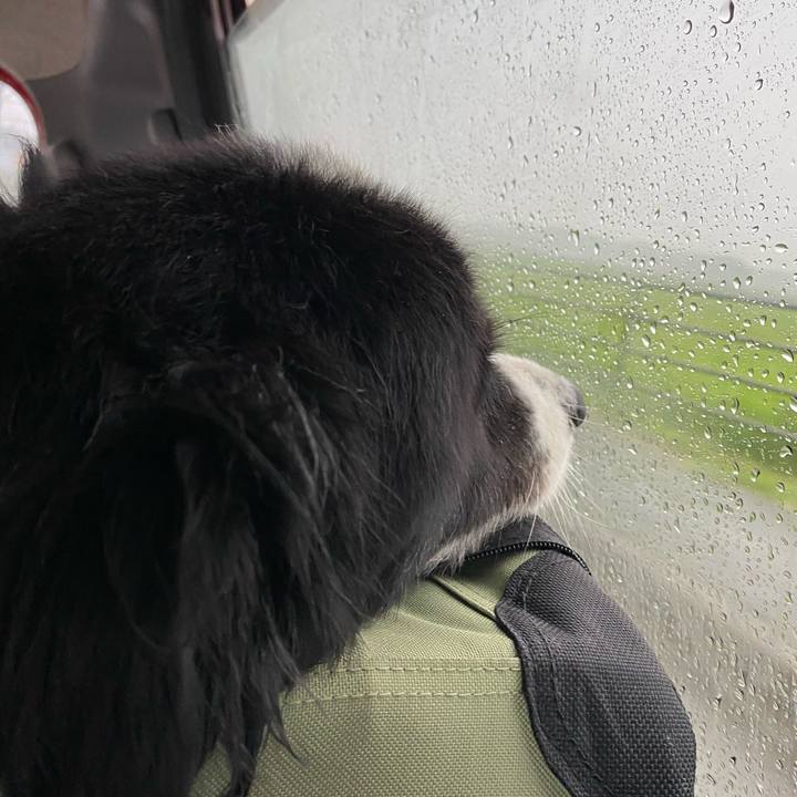 80921065 2b37 41b7 9782 8b0288e5c80f 1596751317529