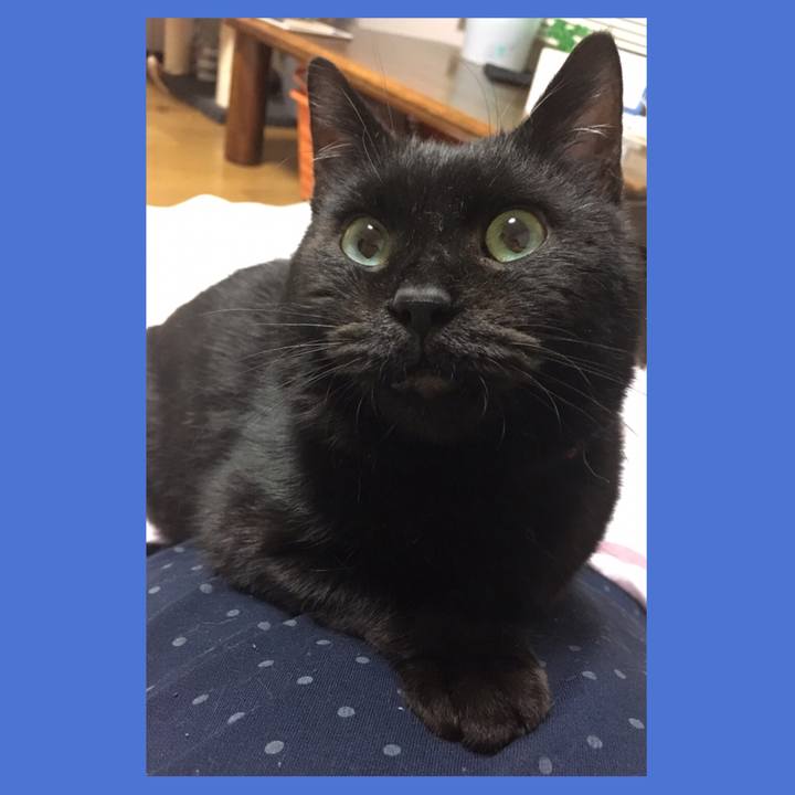 80922f2d 11eb 4283 8789 c8149e098db3 1564279170893