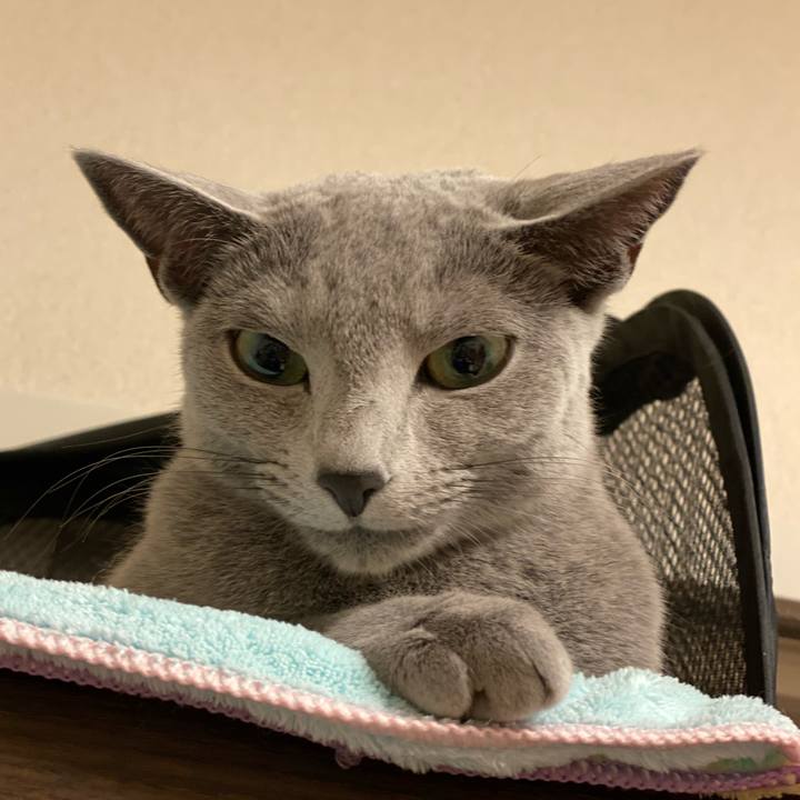 8092376f 5c00 4610 b547 94ae134cce23 1639699493333