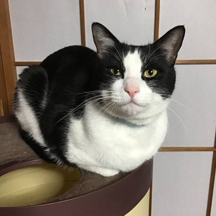 80926907 ca1b 4024 8952 92cdce95faa6 1736759797342