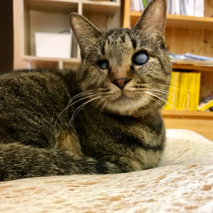 8092789b d2ab 4983 a89f 7eab83ed2b42 1540037424963