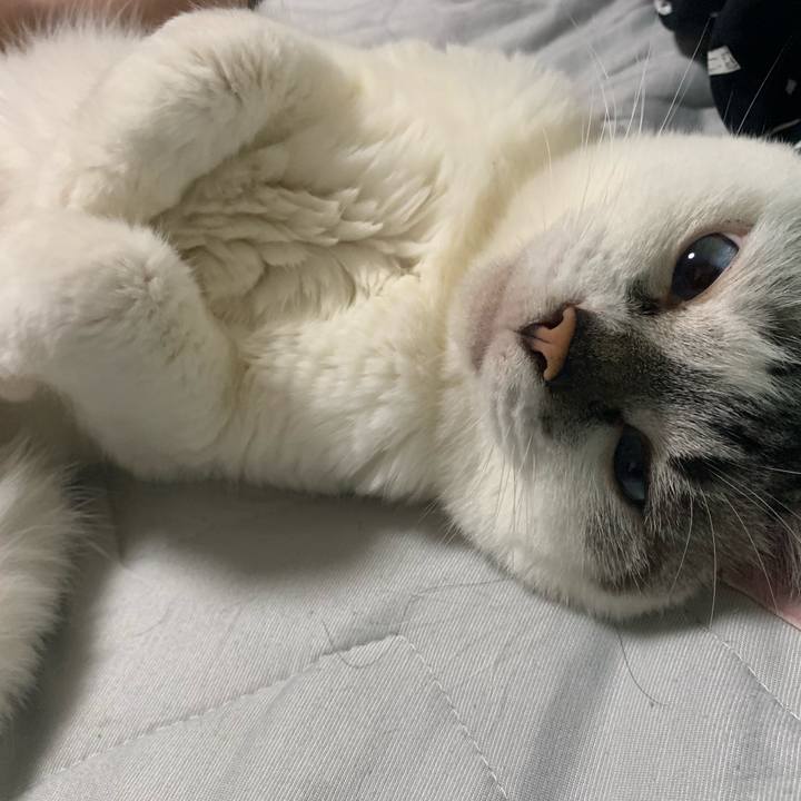 80928564 dd58 495a aa44 e5a940c4b9b1 1627254984750