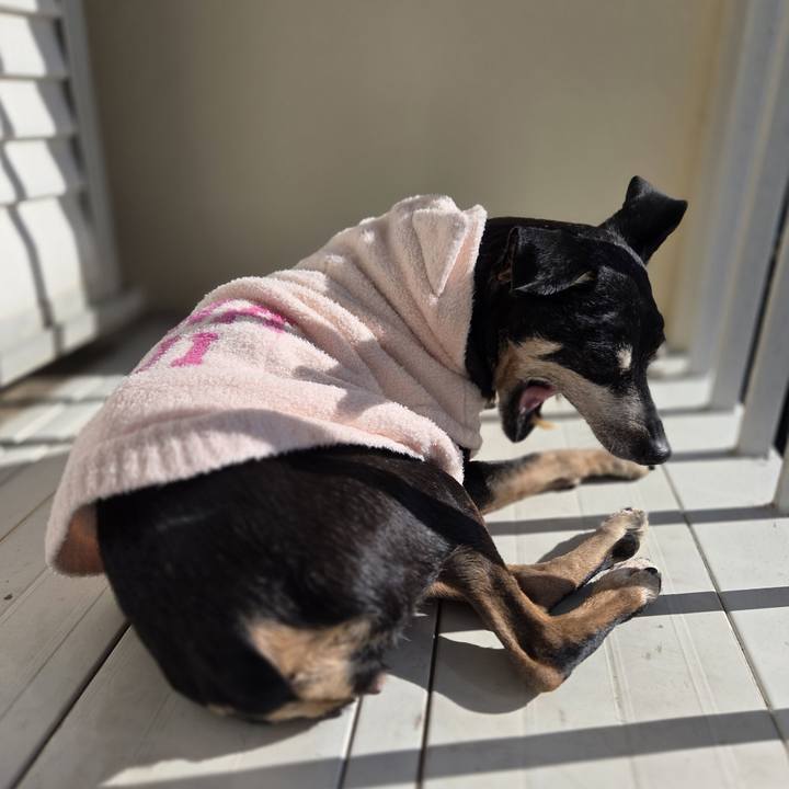 8092b7ee 827b 458e a2b0 39d10fa539a7 1769487750140