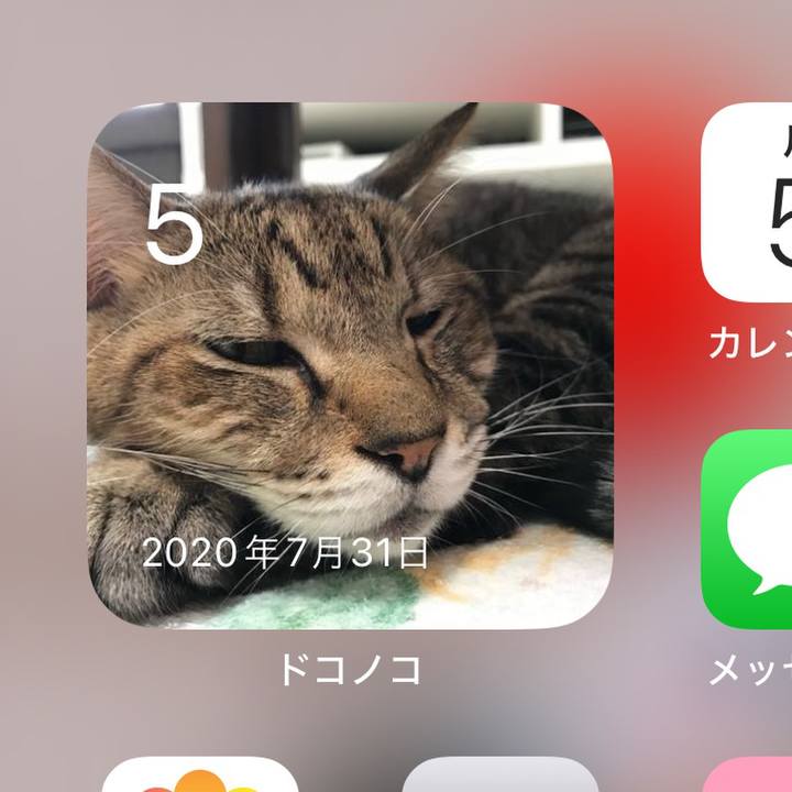 8092cccb 7147 4828 8850 63df9ea9b3b2 1722866675135