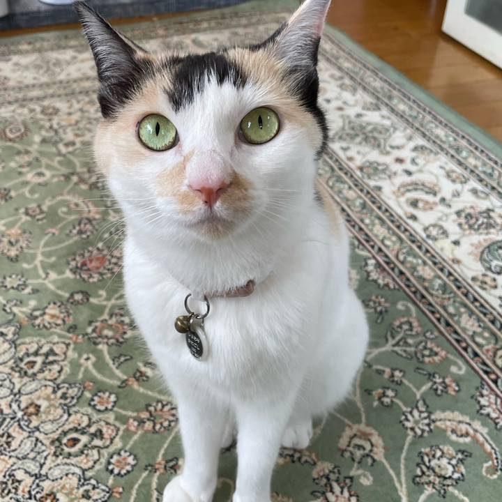 809319f1 cf20 4f62 80b5 2854ed4a0e60 1747795093470