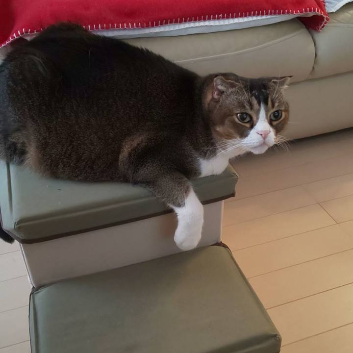 809335e7 8b67 4fed b1a8 aff239034a1e 1639266103838