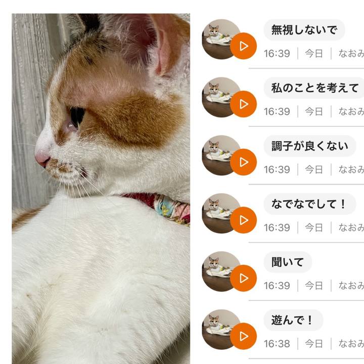 80933627 c22d 4496 8482 e1d4d538f52a 1633785860524