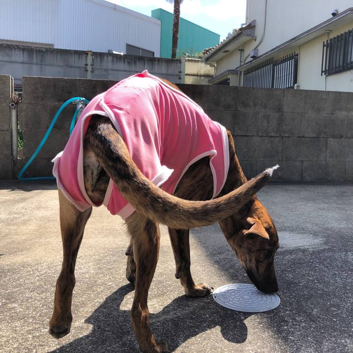 80933ccb b415 49eb 9441 55f9f81f0958 1583640370642