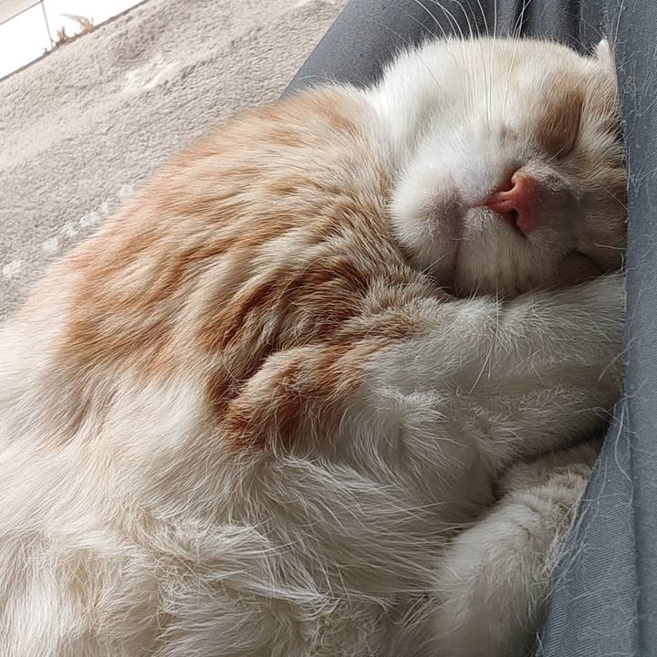 8093762d 773c 4192 af33 537750dcc773 1683435039961