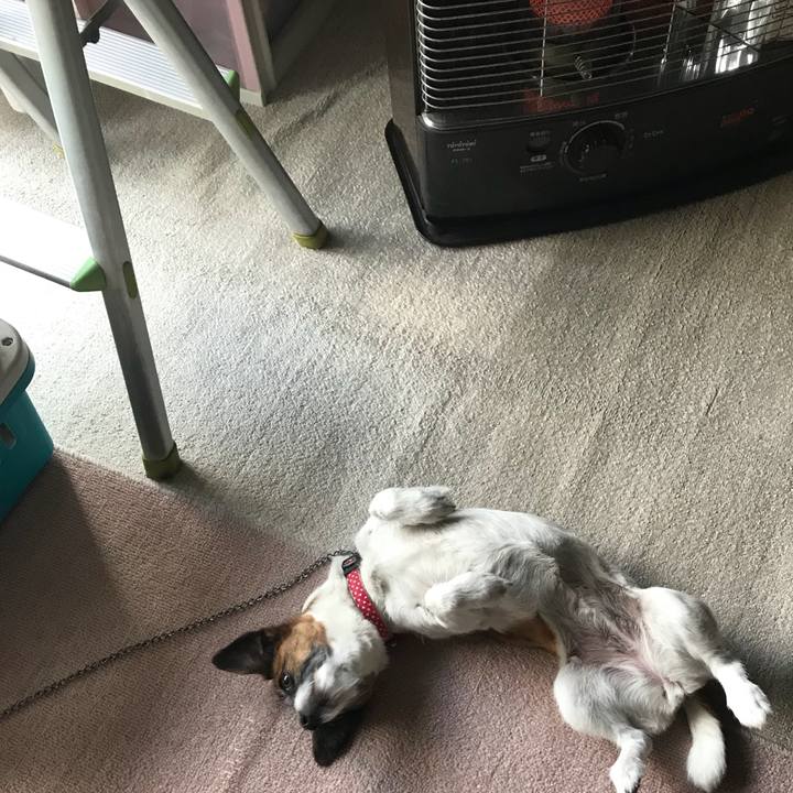 80938898 8d58 45a2 92dd 7ac299cd69bd 1546056587559