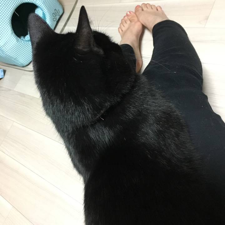 8093dd7f dceb 4cf9 a7f8 ccea042702d4 1511439598246