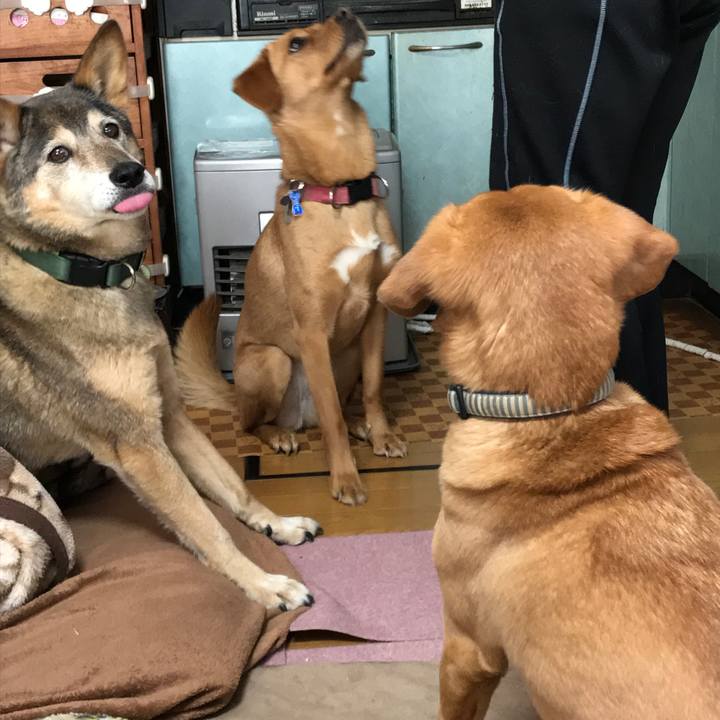 8093e545 e7ea 4b50 ba28 9a1f71441052 1549345231699