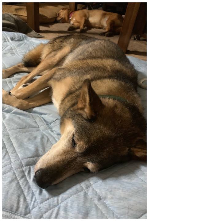 8093e58e afbf 4a6b af0f 54c3408ad9e3 1570464448141