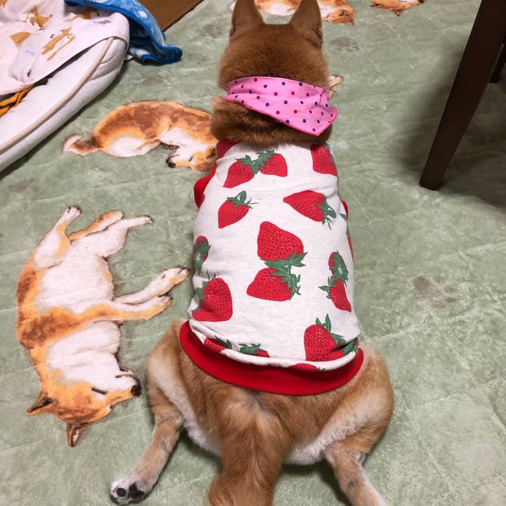 8093fe98 f951 486a b9c0 d89ebb5044bd 1605146011673