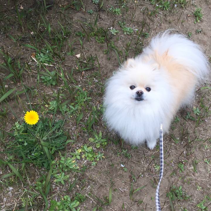 80941f68 5602 47d0 bcb6 8849f4b9948e 1585401534313