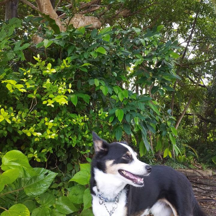 80944155 0673 4902 b553 ffe9c3c337d3 1691071735656