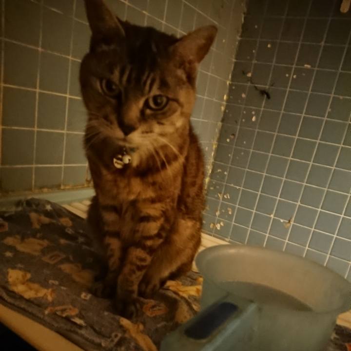 809477d0 ec6b 44a1 a891 77e7579c28ba 1570183183568