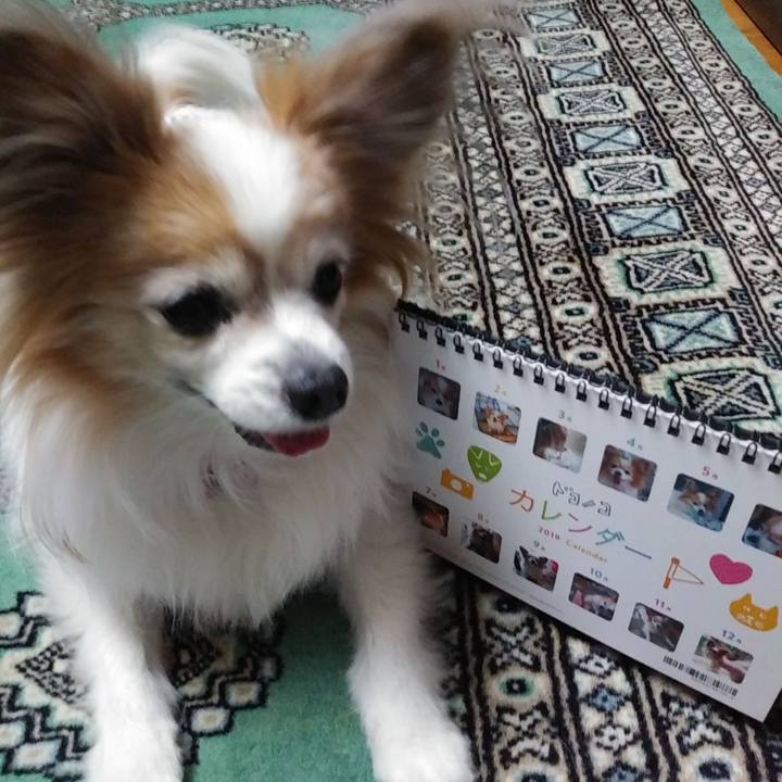 8094a292 aedf 4428 9171 638ef41c5a2d 1546076830371