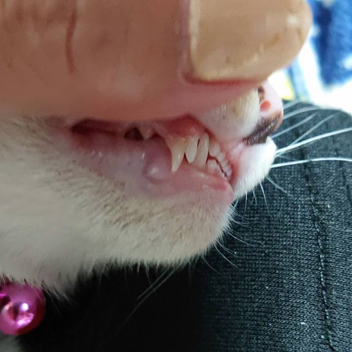 8094e622 0823 45af 8c9a 8a68f35e2a99 1548546029404